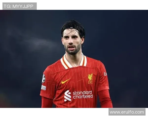 索博斯洛伊的历史与文化探秘：一段鲜为人知的传奇旅程